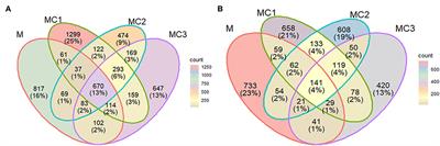 Melon/cowpea intercropping pattern influenced the N and C soil cycling and the abundance of soil rare bacterial taxa